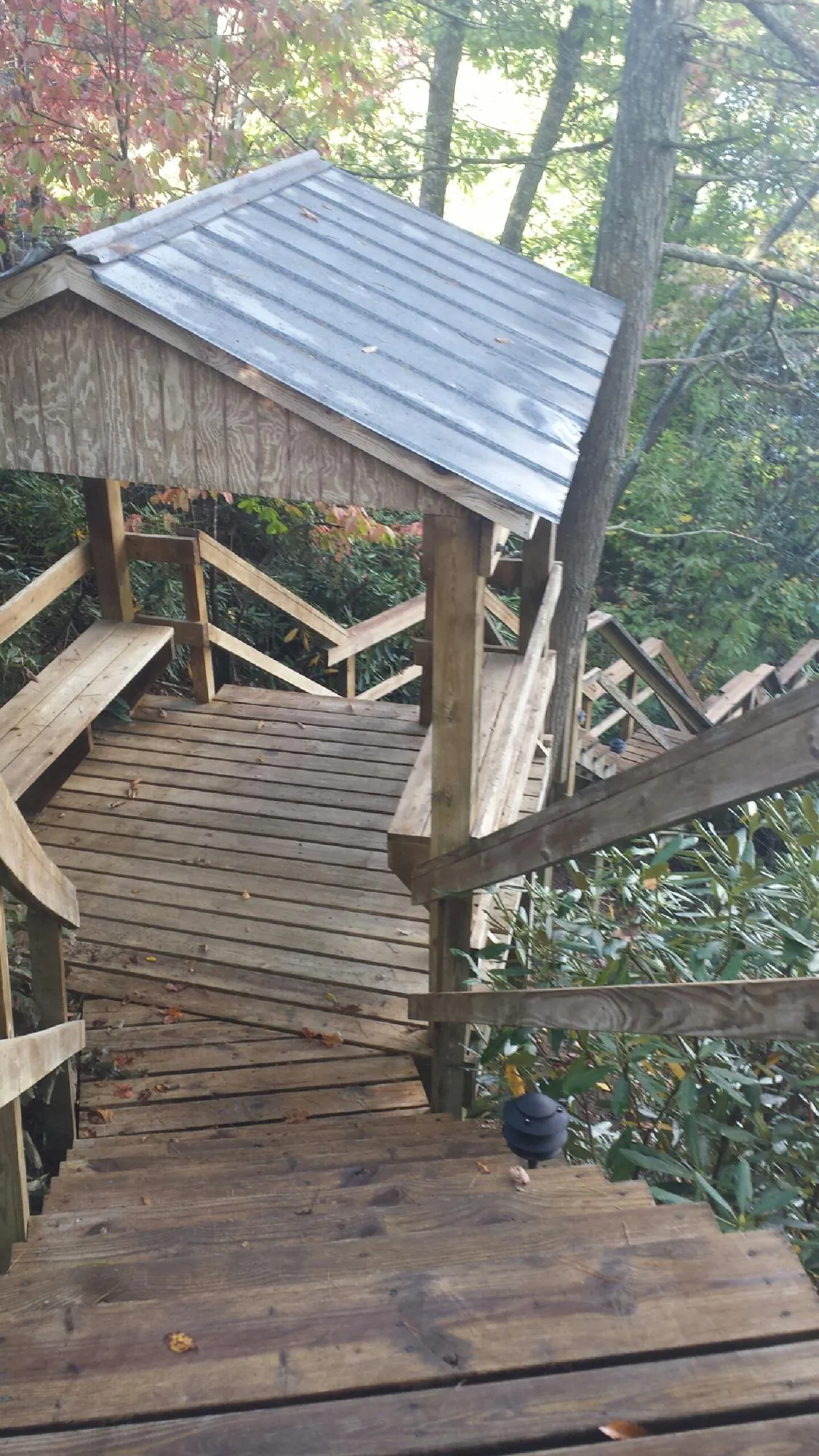 Metal roofed shelter over wooden steps on a wooded walkway — Skylight Repair & Installation work by our crew in Dorena